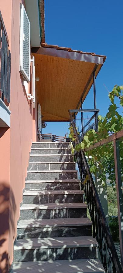 House In Zaloggo Βίλα Πρέβεζα Εξωτερικό φωτογραφία